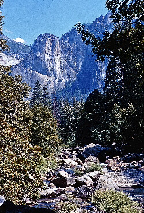 Conservation in the United States